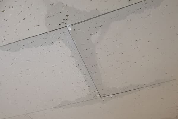 雨漏りの初期症状：天井から落ちる水滴